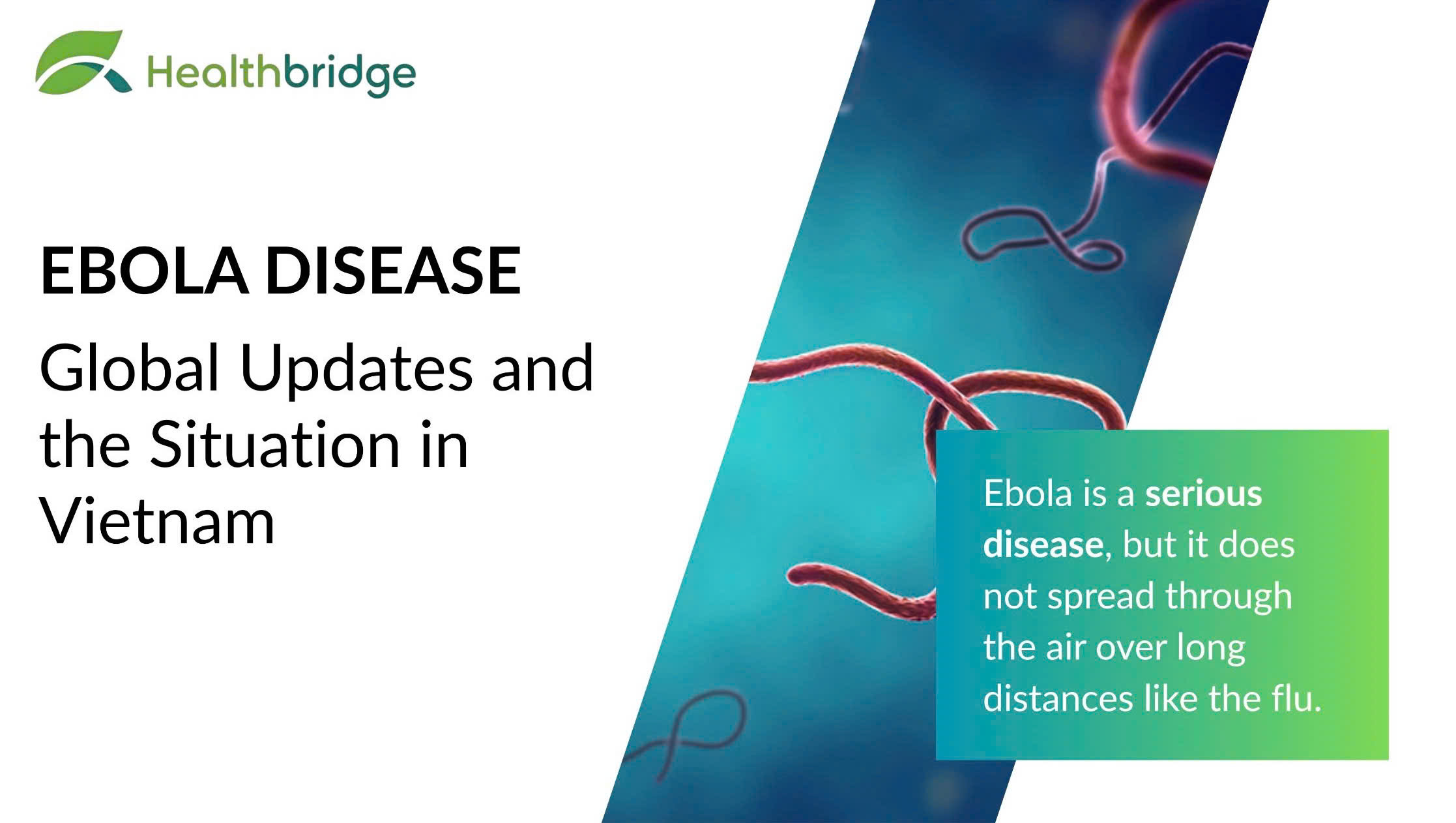 Ebola: Diễn biến Quốc tế và Tình hình tại Việt Nam